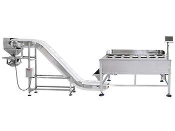 Semi-Automatic Packing Line (manual operation),with 14 heads weigher, Inclined feeding conveyor