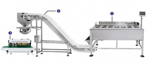 Semi-Automatic Packing Line (manual operation),with 14 heads weigher, Inclined feeding conveyor