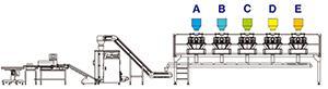 JW-MIX2 Horizontal Weighing and Packing Line for Mixed Products with 10 Head Weigher